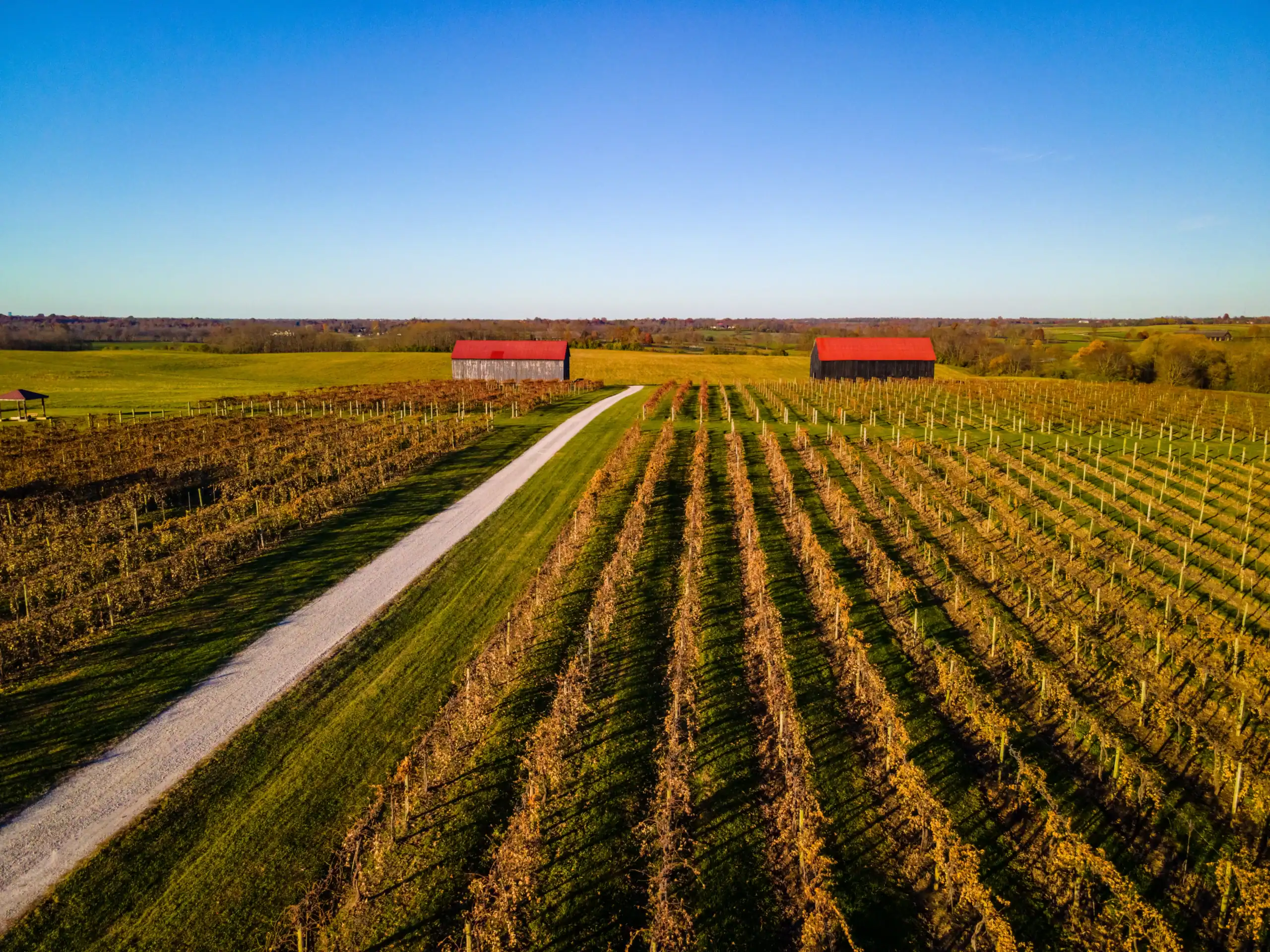 Farm Insurance Kentucky