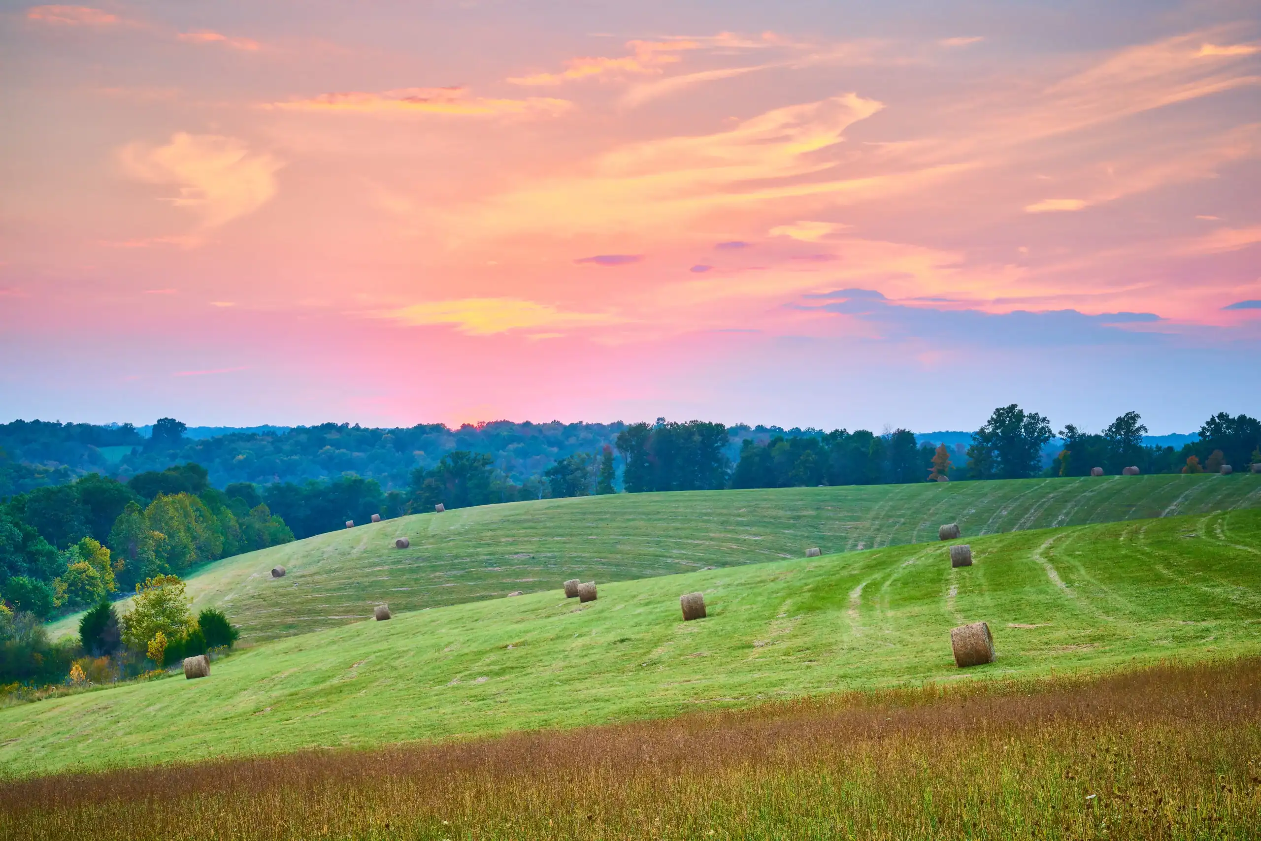 Farm Insurance Kentucky