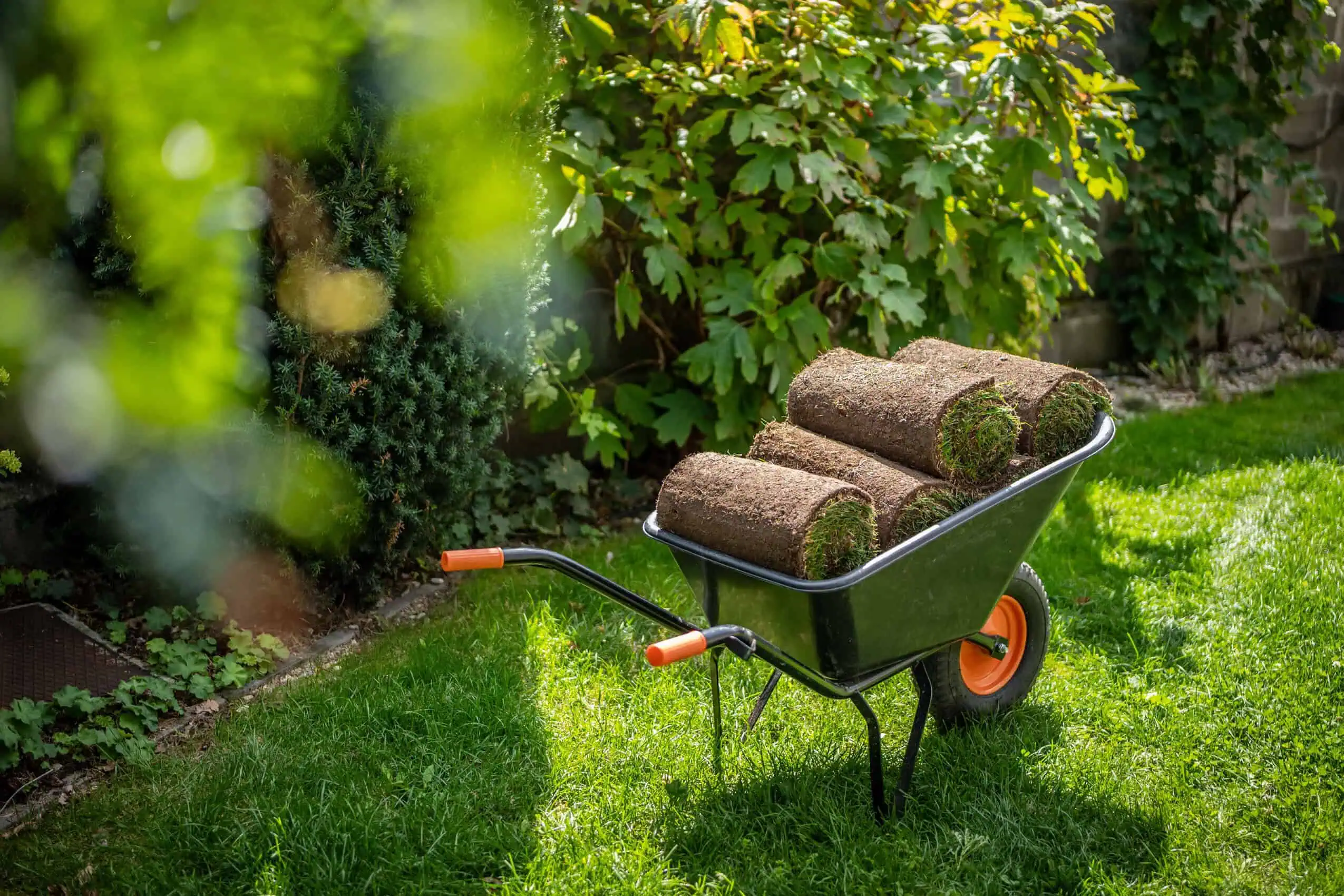 Landscaping Insurance Kentucky