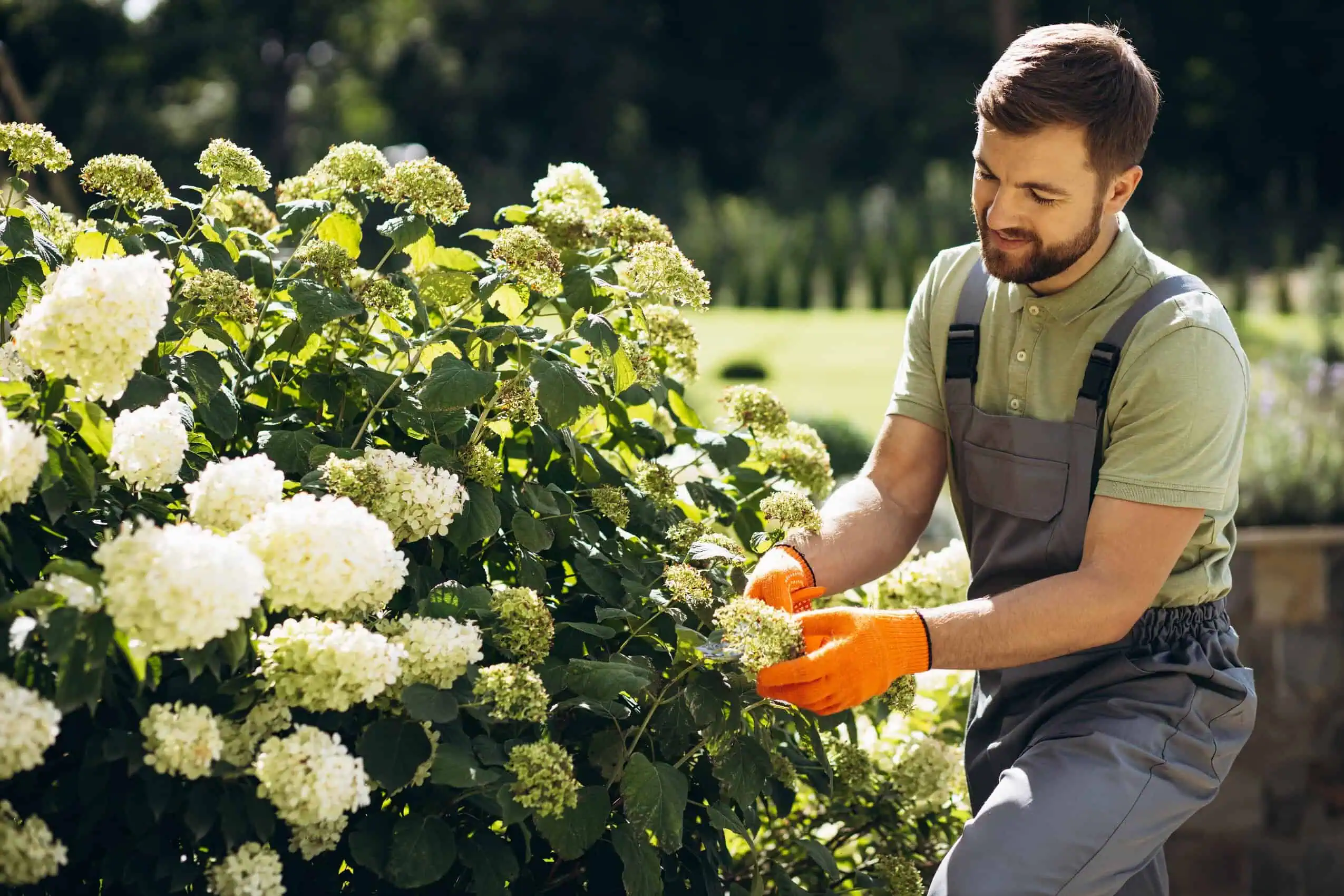 Landscaping Insurance Kentucky